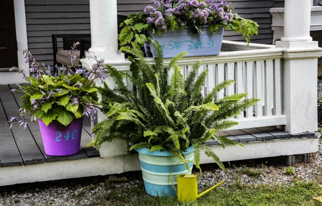 finished box large.jpg