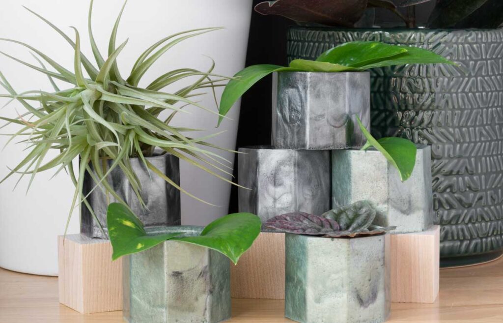 Planters Wagner Featured Image 1.jpg